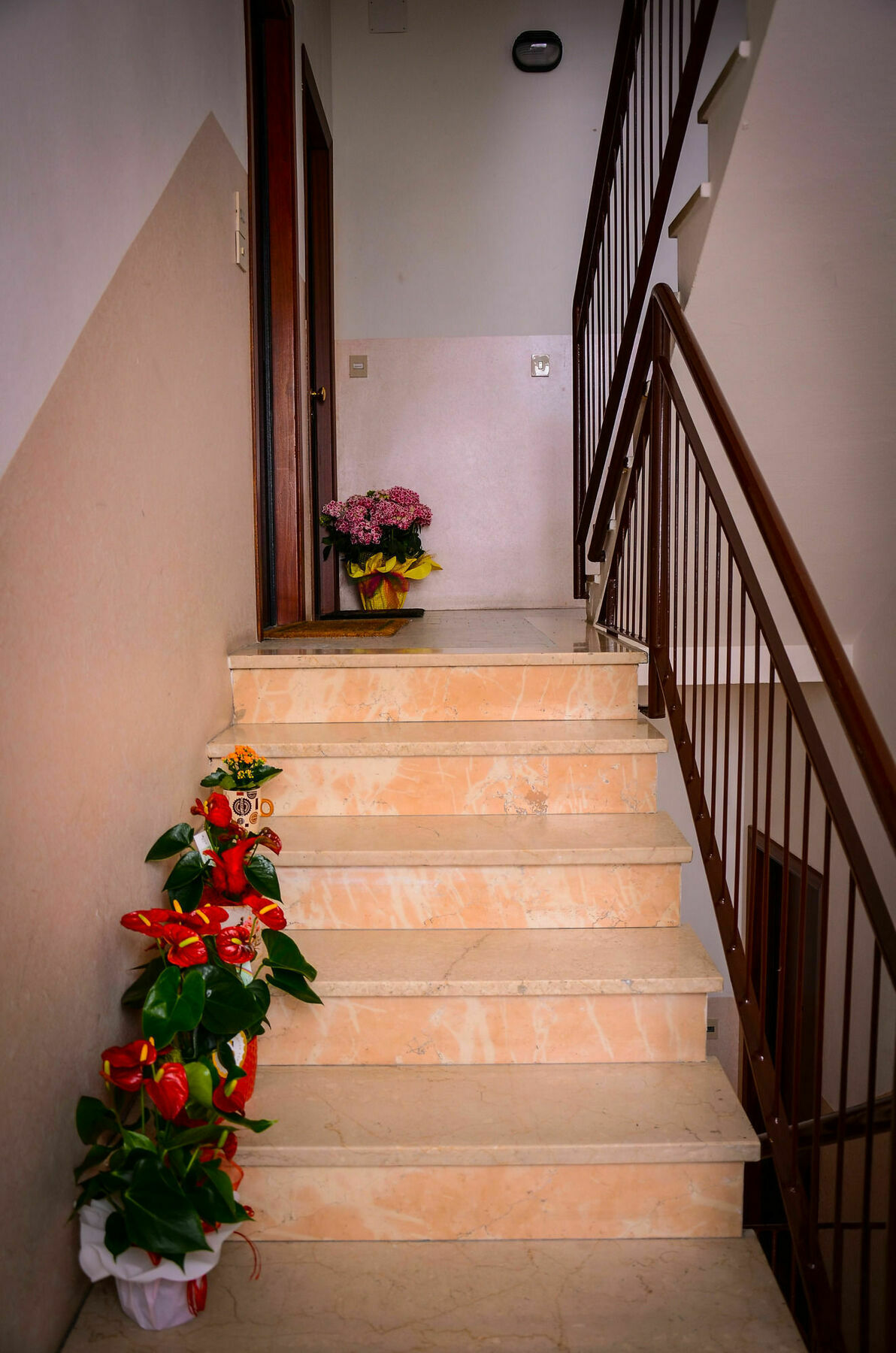 Hotel Il Piccolo Plasencia Exterior foto